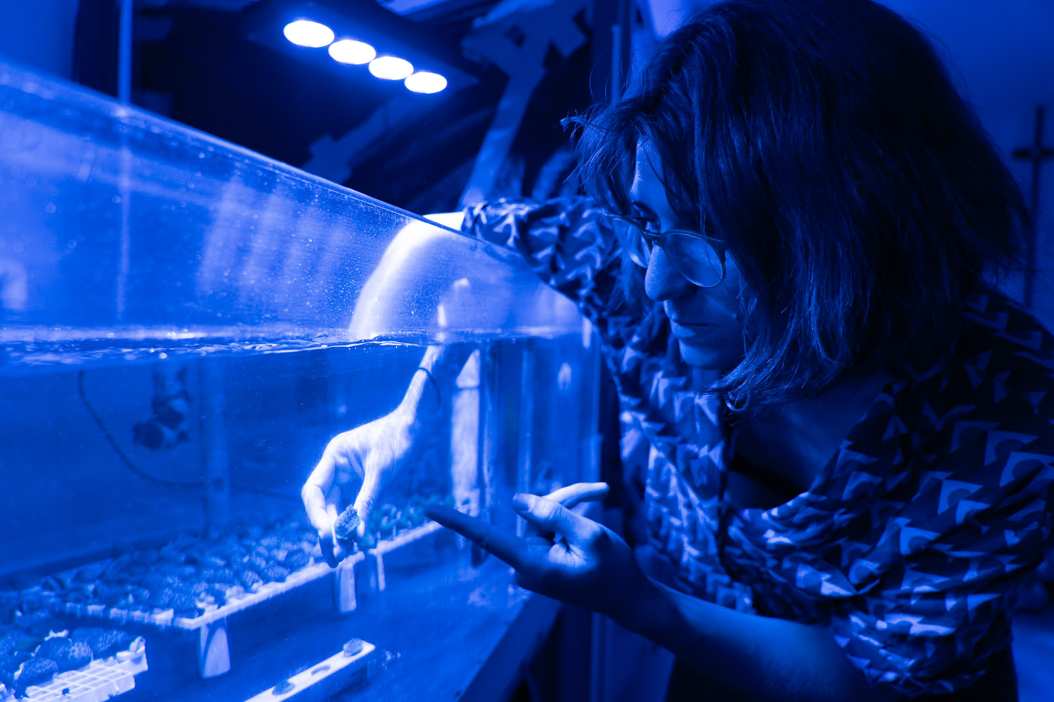 Maya Gomez working with corals in a research aquarium